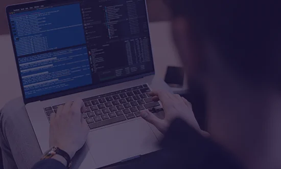 Python Programmer