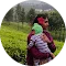 Sangeeta Mudaliyar